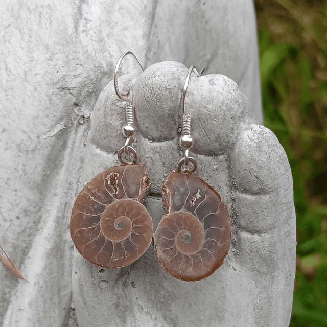 Ammonite Fossil Sterling Silver 925 Earrings